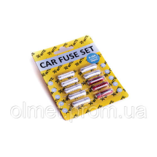 Запобіжники (циліндричні) (10 шт.) WTE