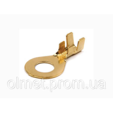 Клемa кільцева 10 діаметр 10,4 мм (наконечник) (100 шт.) WTE